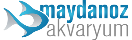 Maydanoz Akvaryum
